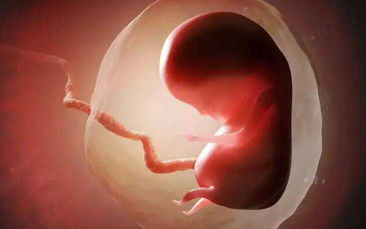 重庆哪里有供卵公司嘛 重庆市妇幼保健院简介 ‘怀男宝宝的b超孕囊图片’