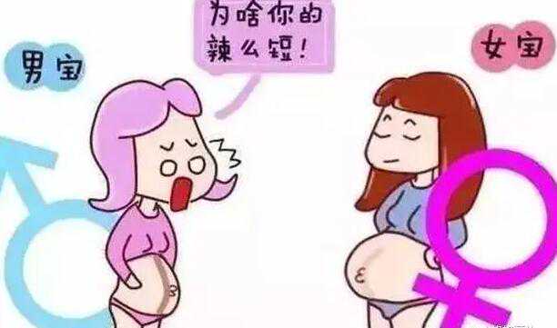 孕管儿管_世纪助孕包成功_北京试管婴儿医院做试管的术前准备